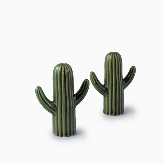 Cactus Salt & Pepper Shaker - iROCHiKitchen Accessories