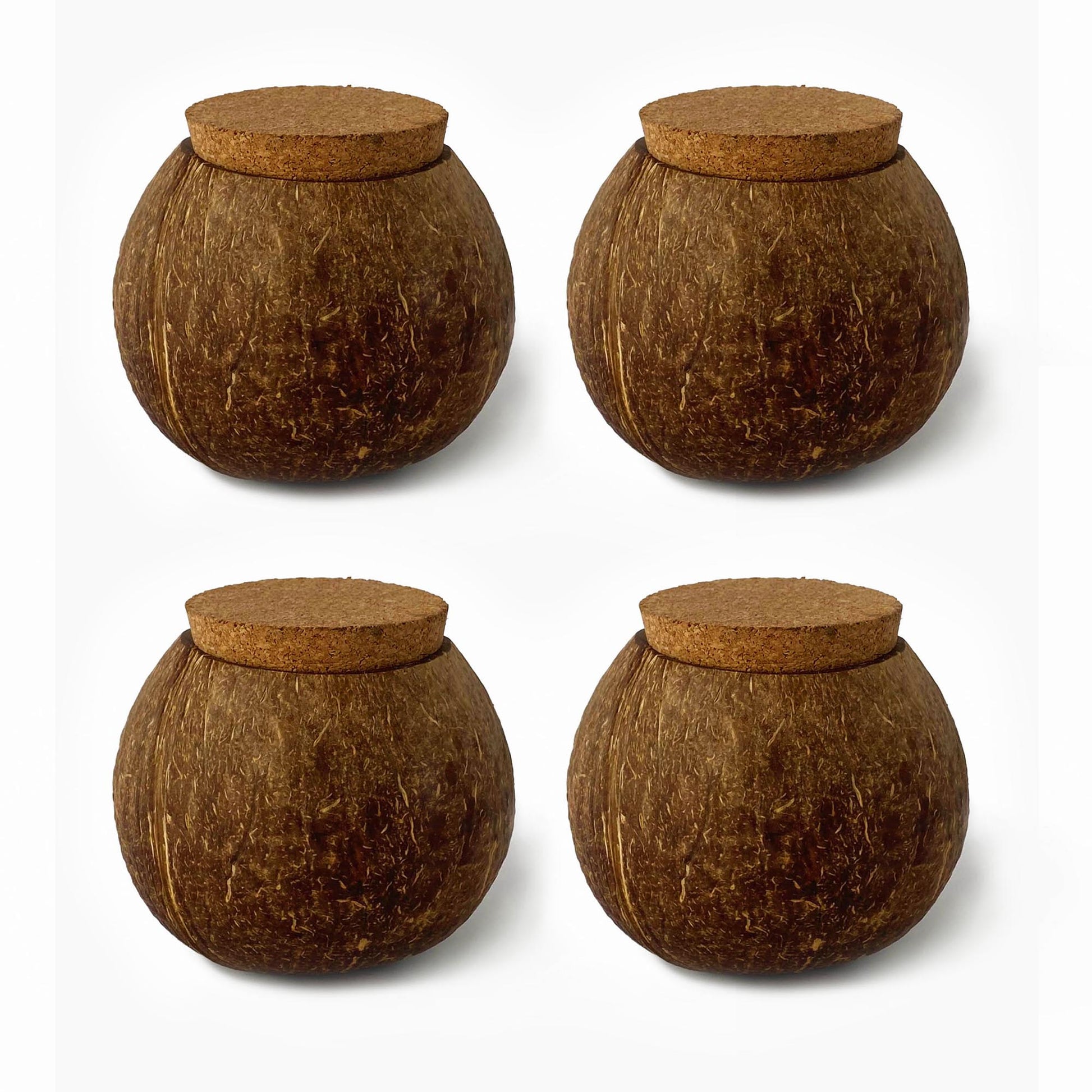 Handcrafted Coconut Shell Jar - Eco - Friendly Storage - iROCHiJar